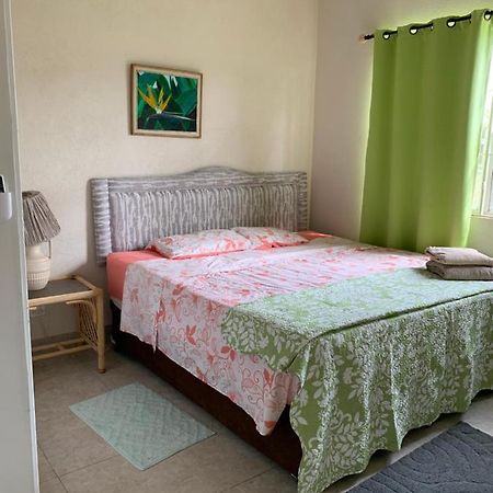 Raivens Nest Bed And Breakfast 基督教堂市 外观 照片