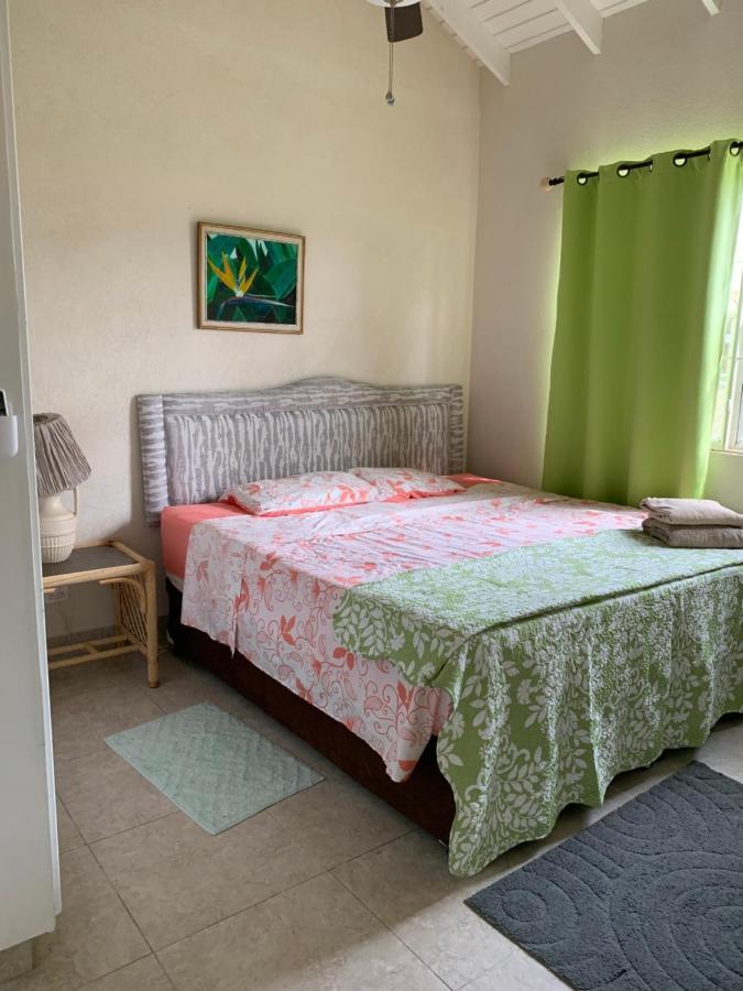 Raivens Nest Bed And Breakfast 基督教堂市 外观 照片